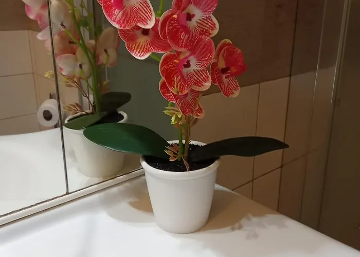 公寓 Casa Orchidea 布雷索
