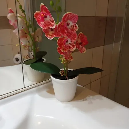 Apartment Casa Orchidea Bresso